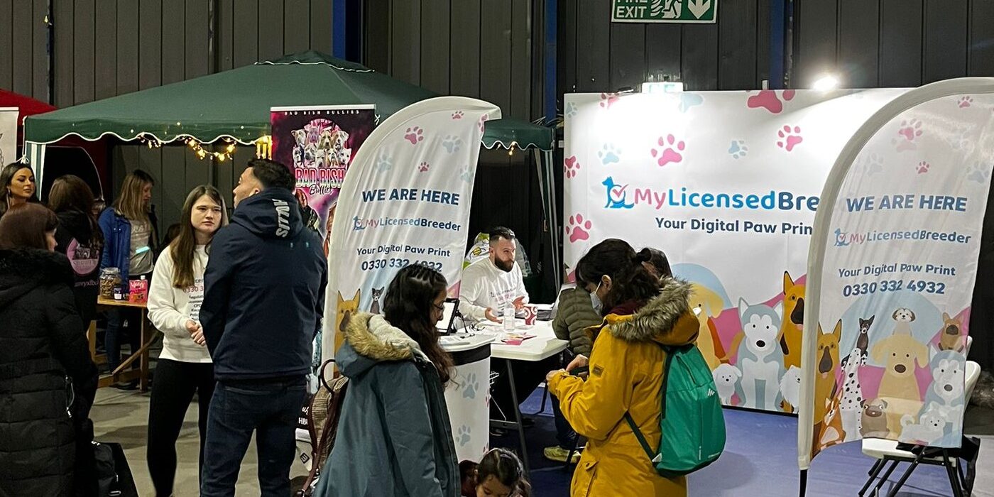 WhatsApp Image 2022-02-20 at 10.31.12 Whatsapp Image 2022 02 20 At 10.31.12