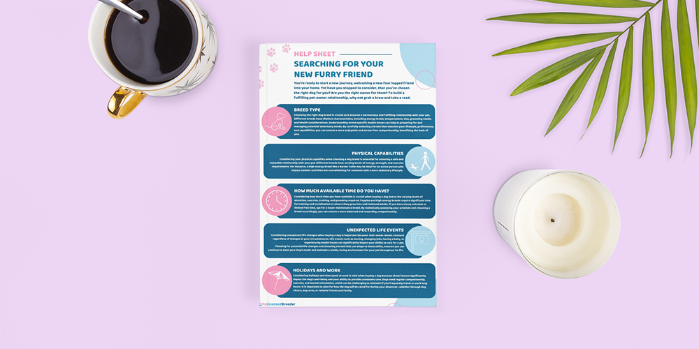 Puppy Guide 2024