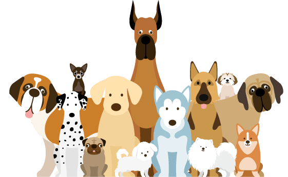 Dog Community (1)