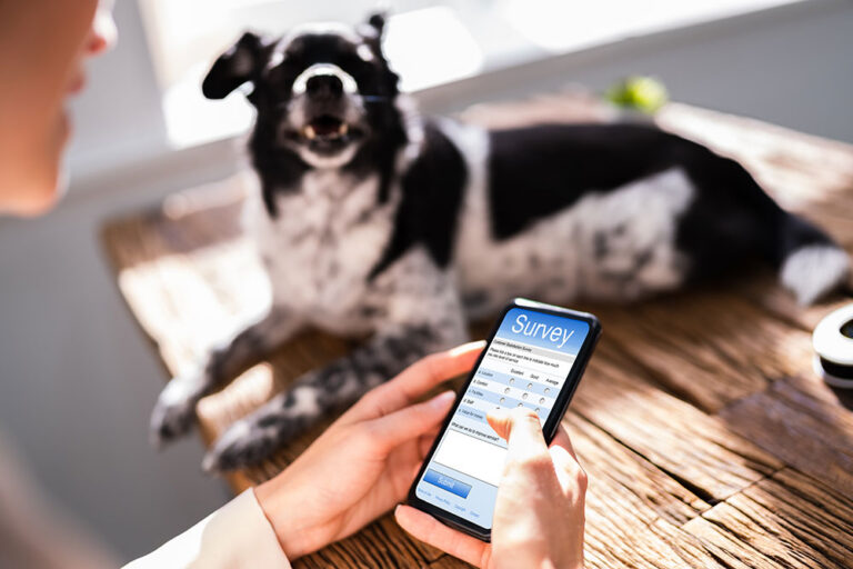Dog Survey Image