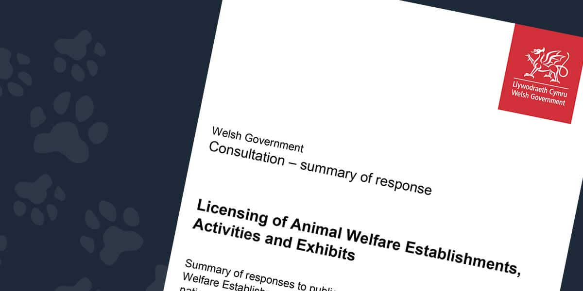 Animal Welfare licensing review Welsh