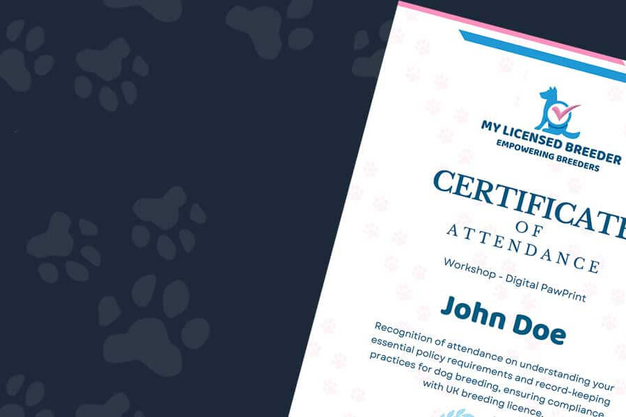 Workshop Certificate (1)