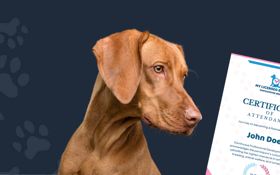 Untitled design (93)