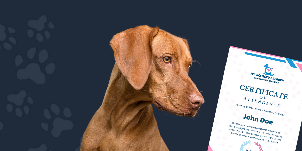 Untitled design (93)