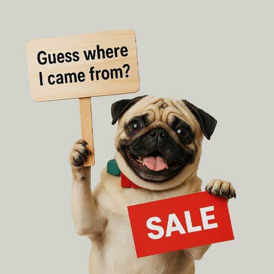 Guess where i come from