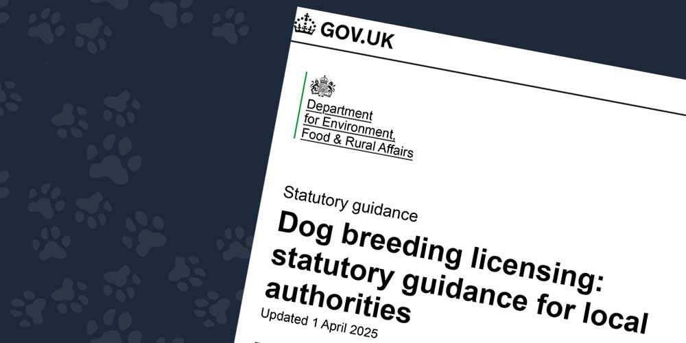 update-2025 Update 2025