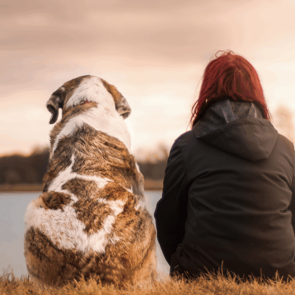 Copy of important defra breeding licence changes 2025 (eng) (3)