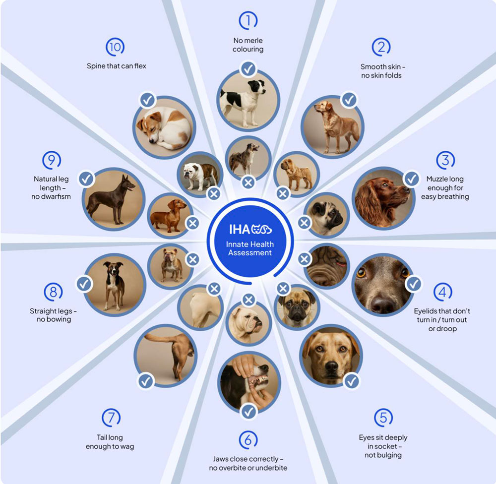 Innate health indicators in dogs