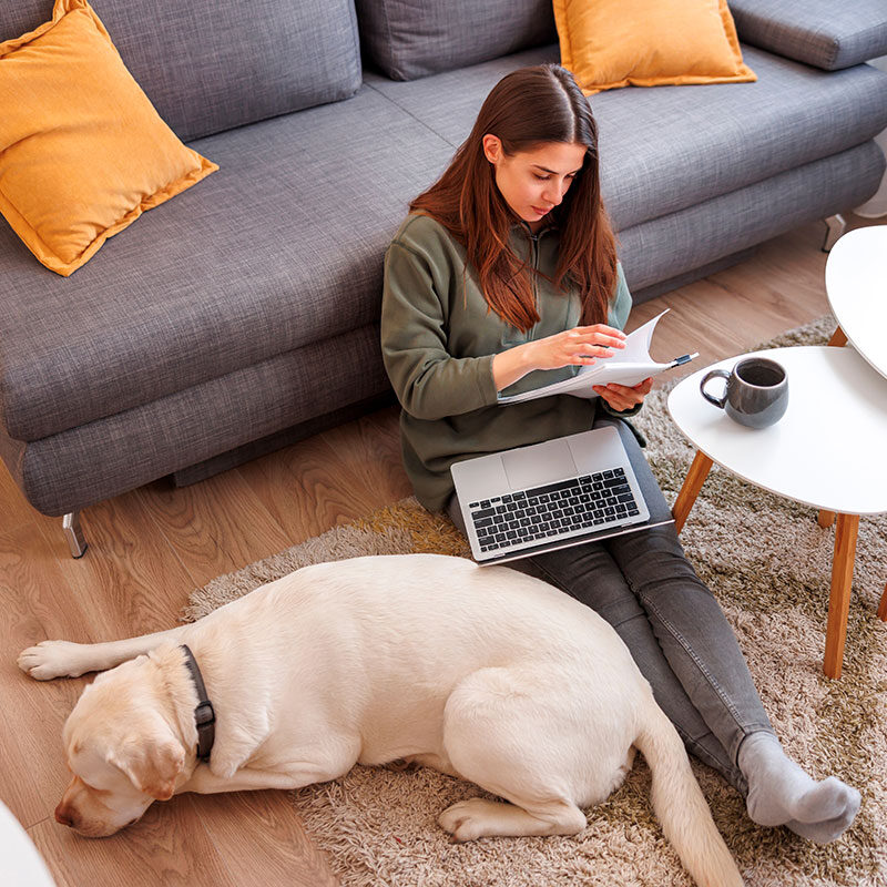 dog-breeding-reform Dog breeding reform