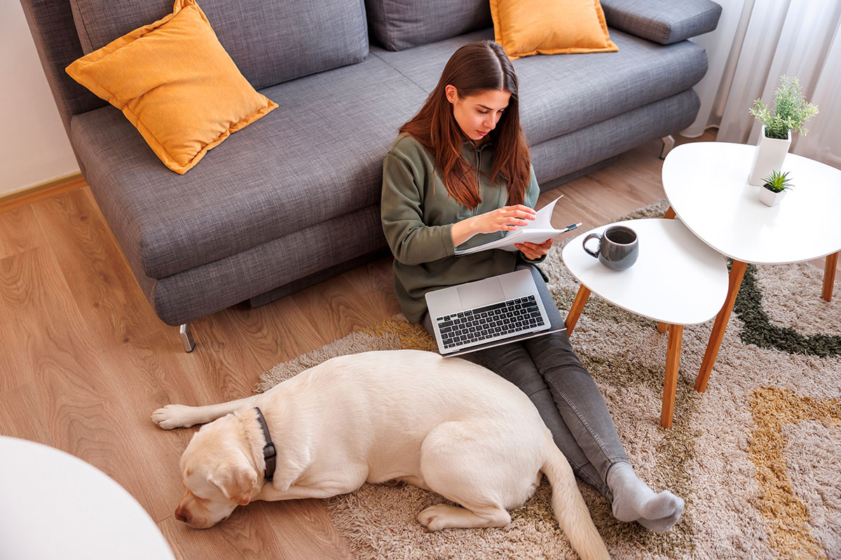 Dog breeding reform