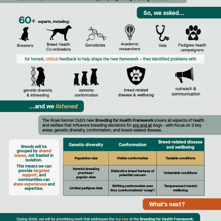 Breeding-for-Health-Infographic Breeding for Health Infographic