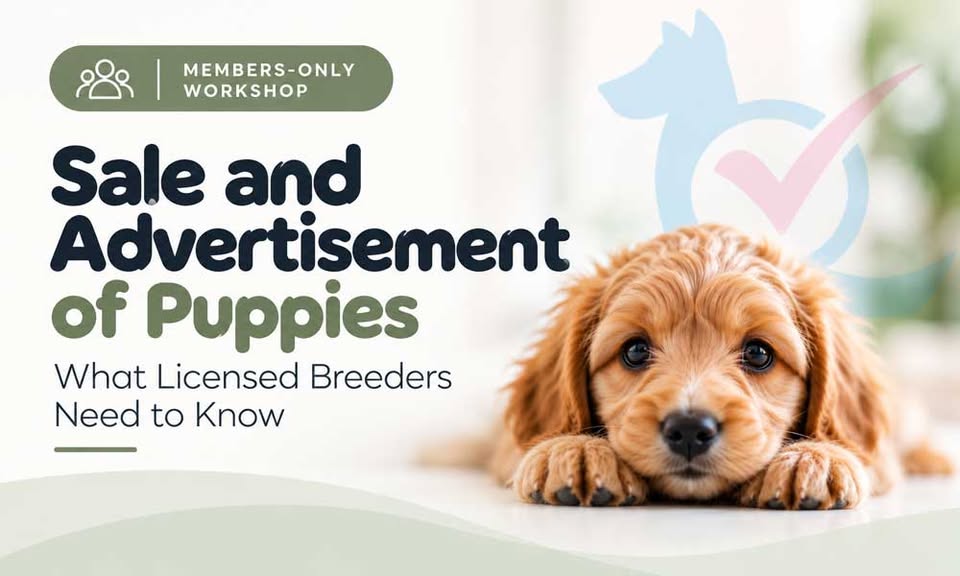 Sale of dogs workshop