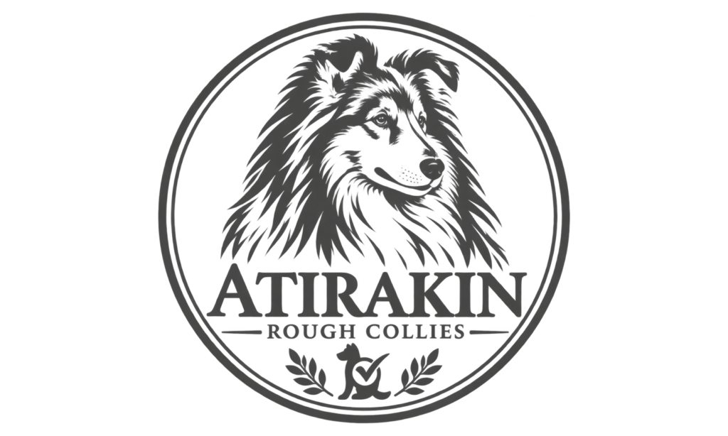 Atirakin Rough Collies