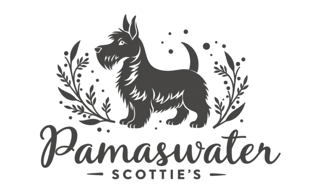 Pamas WaterScotties