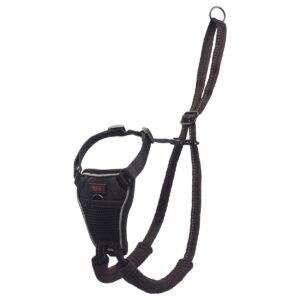 Halti harness.jpg