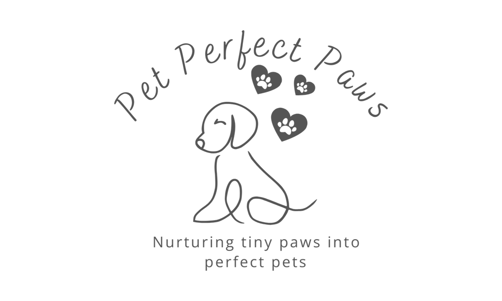 Pet Perfect Paws
