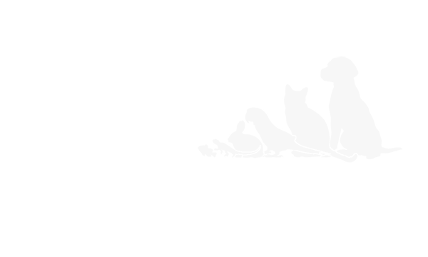 Pet Industry Federation