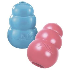 Puppy kongs.jpg