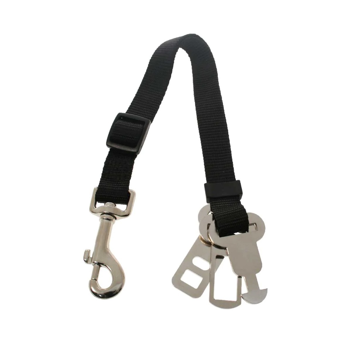 Seat belt.jpg