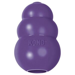 Senior kong2.jpg